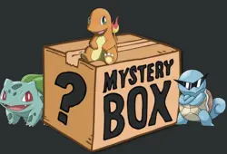 Pokemon Mystery Box Special Christmas Surprise - Image 1