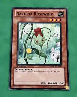 Yu-Gi-Oh! Naturia Rosewhip HA02-EN041 1st Edition Super Rare LP - Image 1