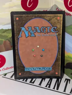 Foil Chocobo Camp NM/M Final Fantasy Magic MTG 0482 - Image 2