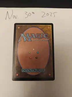 MTG Isolated Chapel Foil Secret Lair Drop 0739 Rare NM - Image 5