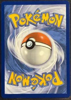Squirtle 148/142 - Illustration Rare Stellar Crown Pokemon TCG 2024 - NM Card - Image 2