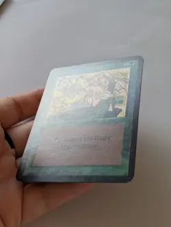 WOTC MTG Vintage Alpha Edition Regeneration (NM) CCG Magic the Gathering - Image 4