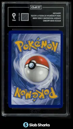 2024 POKEMON SVP EN BLACK STAR PROMO #088 PIKACHU PALDEA ADVENTURE CHEST TAG 9 - Image 2