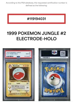 1999 Pokemon Jungle #2 Electrode-Holo PSA 8, Free Shipping - Image 3