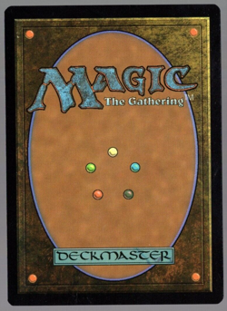 Mesa Enchantress 0068 Non Foil Rare Duskmourn MTG Near Mint - Image 2