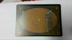 MTG Otawara, Soaring City Extended Art Foil - Image 2