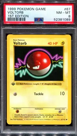 PSA 8 Pokemon 1999 Shadowless 1st Edition Base Set Voltorb #67 - Image 1