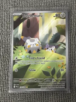 3 Cute Pokemon Card Bundle! Helioptile #143 Torkoal #172 Togedemaru #104 NM/M - Image 5
