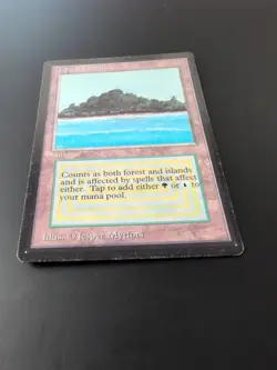 Beta Tropical Island Edges Inked - Image 1