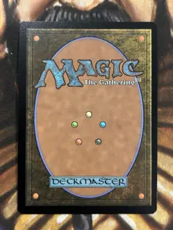 FOIL Multiversal Passage (Borderless) #0206 Marvel MTG Spider-Man - NM/M 🔥 - Image 2