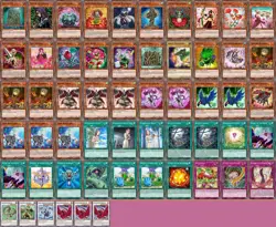 Yu-Gi-Oh Complete Akiza Izinski 5D's Deck Plant Black Rose Dragon + Extra Bonus - Image 1