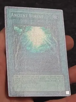 Ancient Forest ANPR-EN048 Ancient Prophecy Unlimited|Unlimited Edition - Image 3