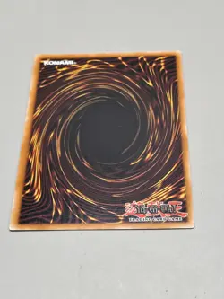 Yugioh Ash Blossom & Joyous Spring SDWD-EN017 Common 1st Edition NM - Image 3