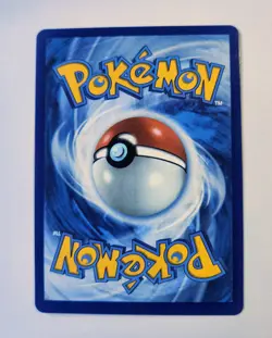 Mega Charizard x EX 109/094 and EX 013/094 Phantasmal Flames NM 2 Card Lot ME02 - Image 5