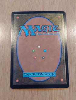 Great Hall of the Citadel 254 Lord of the Rings Magic the Gathering card - Image 3