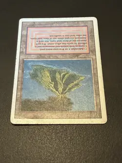 MTG Volcanic Island Revised English Rare MP - Image 4