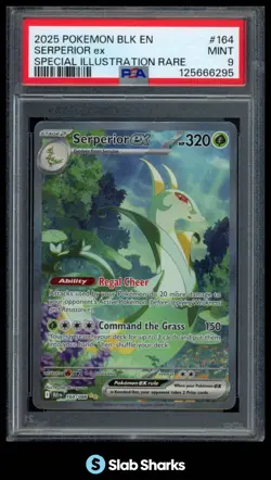 2025 POKEMON SV BLACK BOLT - BLK EN SERPERIOR EX SPECIAL ILLUSTRATION RARE PSA 9 - Image 1