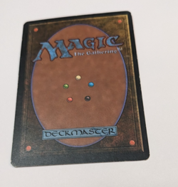 Savannah Revised Edition Regular - Image 5