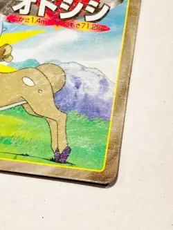 Stantler Pokemon Card Top Advanced Generation 234 Rare From Japan Nintendo F/S - Image 5