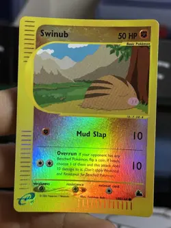 Swinub 108/144 Skyridge 2003 Reverse Holo Pokemon Card TCG - Image 4