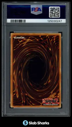 2025 YU-GI-OH! ALIN #3N058 WITCH OF THE WHITE FOREST 1ST EDITION PSA 8 - Image 2
