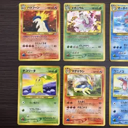 Typhlosion Feraligatr Meganium Neo Premium File set 9 Japanese Pokemon(B rank) - Image 4