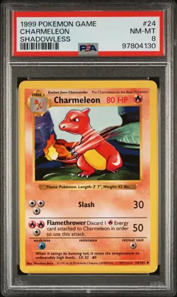 1999 Pokemon Game Base Set CHARMELEON Shadowless Card #24 PSA 8 NM-MT Rare! - Image 1