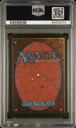 Forest - Alpha - MTG - Near to Mint - PSA 8. More Vintage MTG in my store. - Image 2