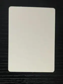 Magic MTG Italian Revised Bog Wraith Artist Proof Near Mint - Only 50 Exist! - Image 2