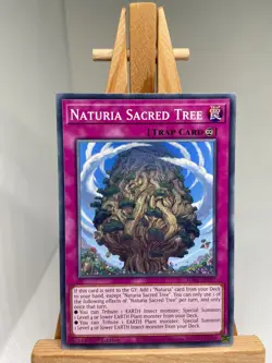 Naturia Sacred Tree - 1st Edition SDBT-EN037 - NM - YuGiOh - Image 1