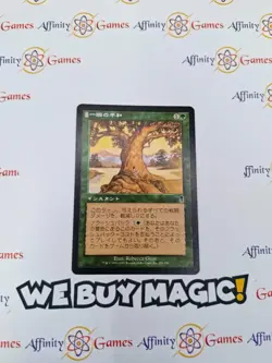 MTG | Moment's Peace | Odyssey | Regular | Light Played | JPNanese - Image 1