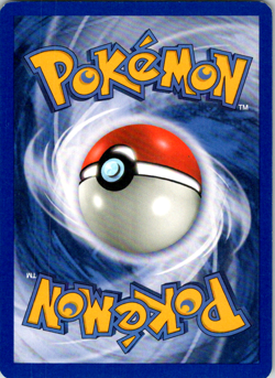 Pokemon Card Mudkip 018 Black Star Nintendo EX Deck Tin Promo Holo NM - Image 2