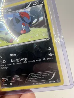 Zorua 66/98 Emerging Powers Reverse Holo Uncommon Pokemon Card TCG English LP - Image 4