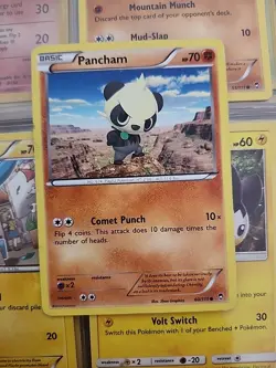 Pokemon TCG Pancham 60/111 Furious Fists Regular Lp - Image 1