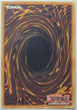 Dark Paladin (Starlight Rare) BLMM-EN008 NM Yu-Gi-Oh! - Image 2