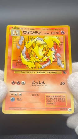 [No Import Duty (US)] Growlithe & Arcanine Intro Pack Squirtle Deck Japan Card - Image 2