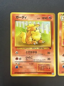 [No Import Duty (US)] Growlithe & Arcanine Intro Pack Squirtle Deck Japan Card - Image 4