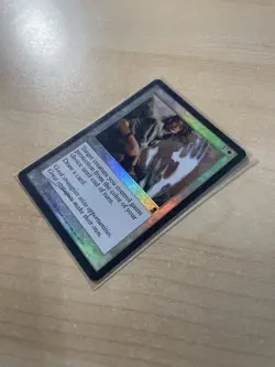 Shelter Odyssey Foil - Image 3