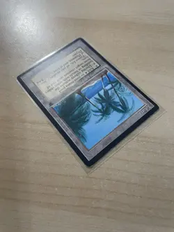 Tolaria Legends Regular - Image 4
