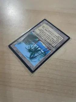 Tolaria Legends Regular - Image 5