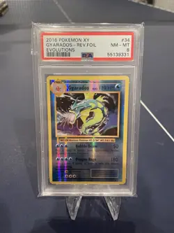 2016 Pokemon XY Evolutions Reverse Holo #34 - PSA NM-MT 8 - GYARADOS - Image 1