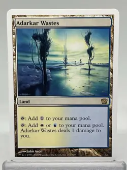 MTG Adarkar Wastes - NM 9th Edition 317/350 - Magic the Gathering - Image 1