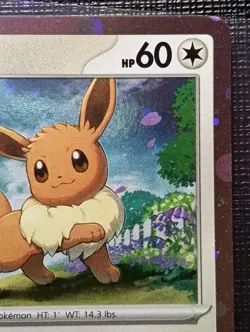 Pokemon TCG - Eevee SVP 043 Black Star Promo Holo - NM - Image 3