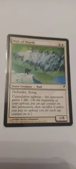 Wall of Shards MTG single NM - Image 1