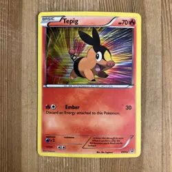 Pokemon TCG Tepig BW Black Star Promos BW02 Holo Promo LP - Image 1