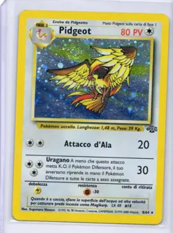 Pokemon - Pidgeot (8) #08/64 - Jungle - Holo Rare - Italian - MP - Image 1
