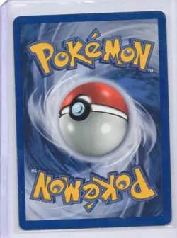 Pokemon - Pidgeot (8) #08/64 - Jungle - Holo Rare - Italian - MP - Image 2