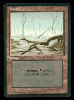 MRM FR/VF Marais - Swamp Version 1 PLAYED MTG magic FBB - Image 1