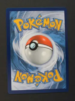 Charizard V Swsh260 - Sword & Shield Promo Cards Pokemon TCG - NM - Image 2