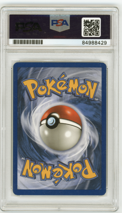 PSA Signed Dan Green Treecko 75/109 Ex Ruby and Sapphire Pokemon - Image 2